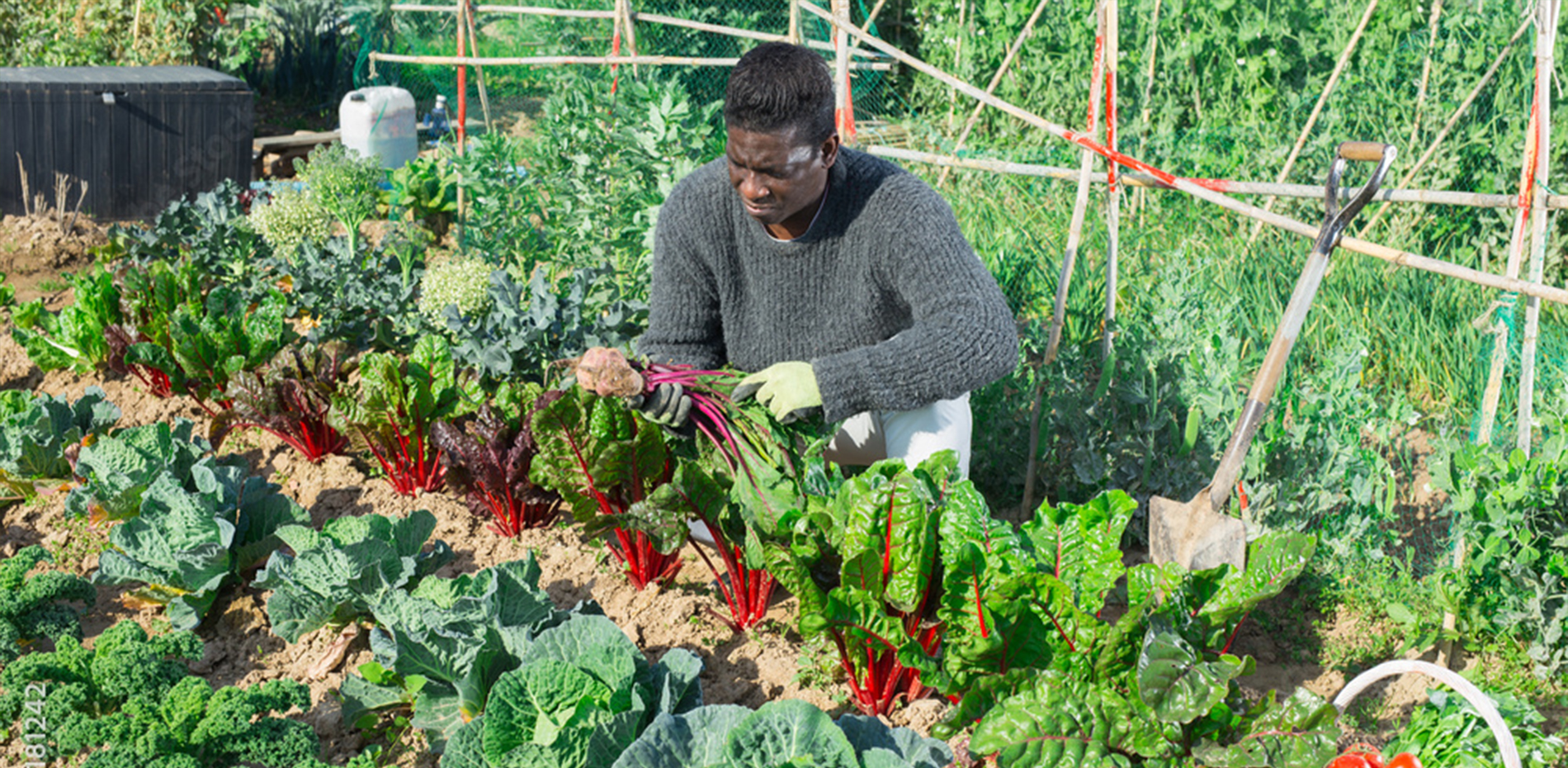 公司产品展示图